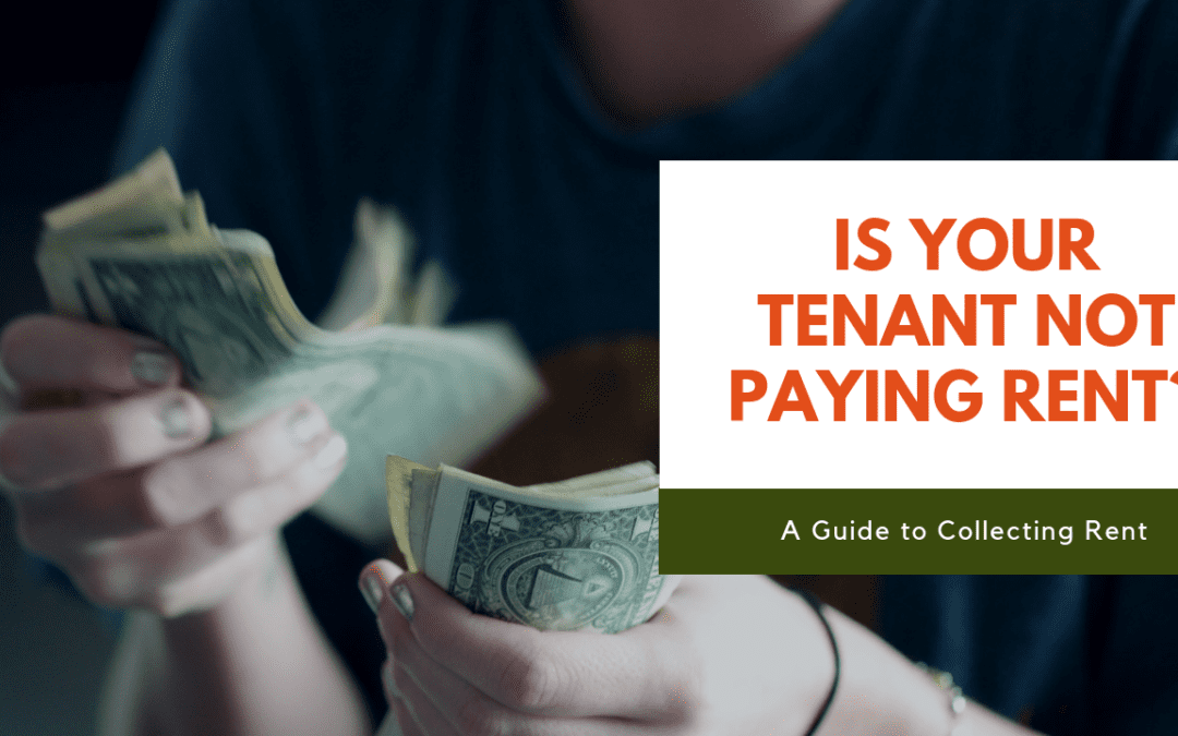 Is Your Tenant Not Paying Rent? – A Guide to Collecting Rent in Orange County FL