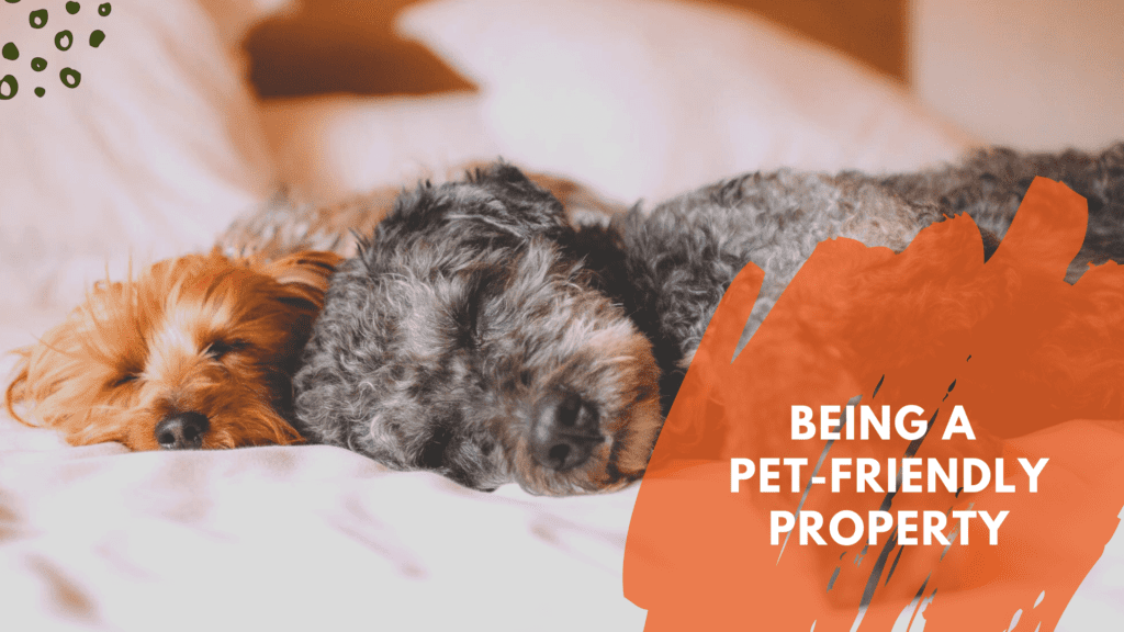 Pros and Cons of Being a Pet-Friendly Property - article banner