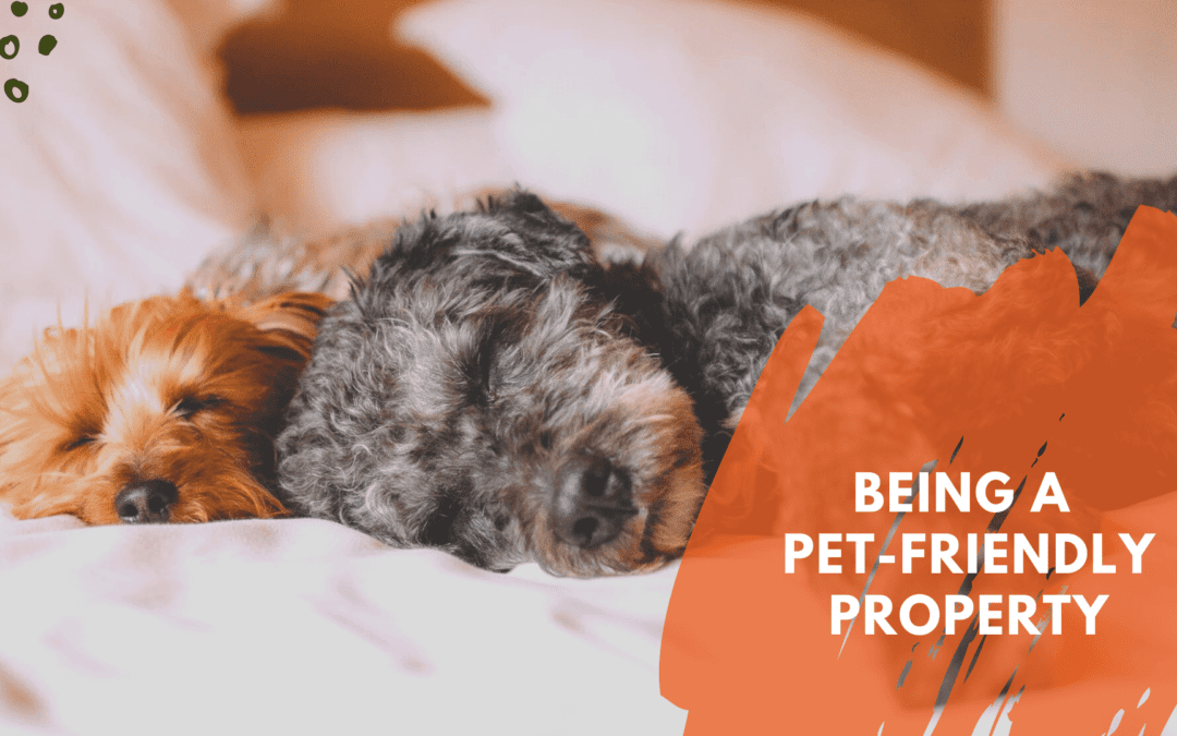 Pros and Cons of Being a Pet-Friendly Property Manager in Orlando