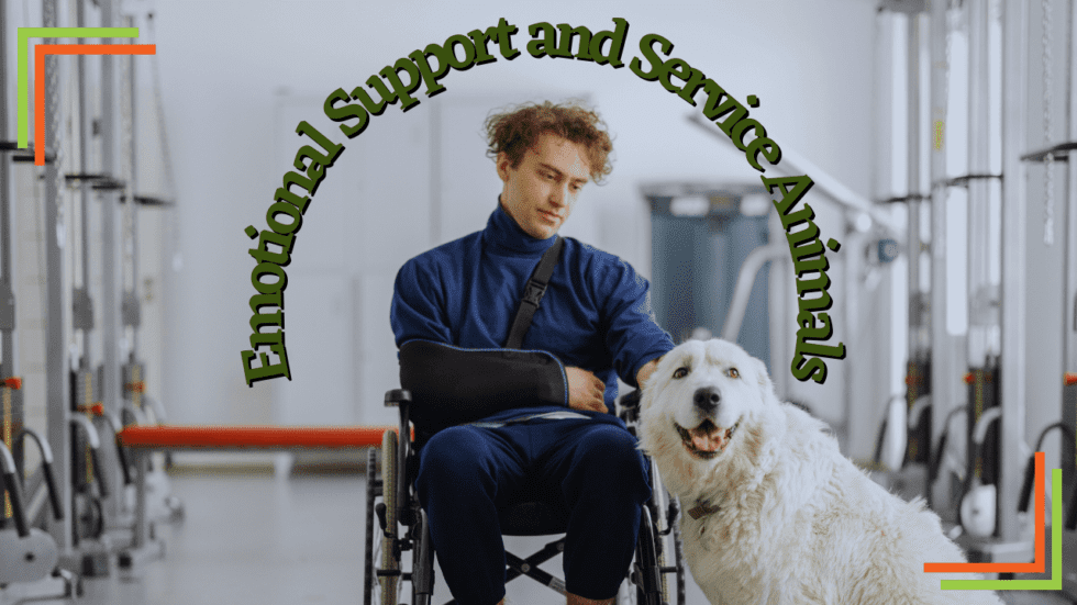 A Landlord’s Guide to Emotional Support and Service Animals