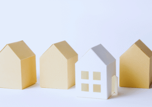 Multiple Rental Properties